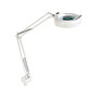 Ledu Economy Magnifier Lamp - Fluorescent Bulb - White