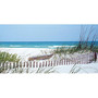 Biggies Wall Mural, 60 inch; x 120 inch;, Carolina Coast