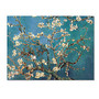 Trademark Global Almond Blossoms Gallery-Wrapped Canvas Print By Vincent van Gogh, 24 inch;H x 32 inch;W