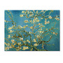 Trademark Global Almond Branches In Bloom 1890 Gallery-Wrapped Canvas Print By Vincent van Gogh, 24 inch;H x 32 inch;W