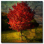 Trademark Global Autumn Red Gallery-Wrapped Canvas Print By Philippe Sainte-Laudy, 35 inch;H x 35 inch;W