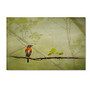 Trademark Global Bluebird In Spring Gallery-Wrapped Canvas Print By Lois Bryan, 22 inch;H x 32 inch;W