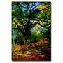 Trademark Global Bodmer Oak, Fontainebleau Forest Gallery-Wrapped Canvas Print By Claude Monet, 22 inch;H x 32 inch;W
