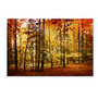 Trademark Global Brilliant Fall Color Gallery-Wrapped Canvas Print By Philippe Sainte-Laudy, 30 inch;H x 47 inch;W