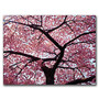 Trademark Global Cherry Tree Gallery-Wrapped Canvas Print By Mitch  inch;CATeyes inch; Catanzaro, 18 inch;H x 24 inch;W