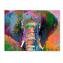 Trademark Global Elephant 2 Gallery-Wrapped Canvas Print By Richard Wallich, 35 inch;H x 47 inch;W