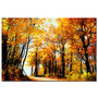 Trademark Global Fall Scene Gallery-Wrapped Canvas Print By Lois Bryan, 16 inch;H x 24 inch;W