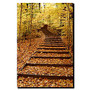 Trademark Global Fall Stairway Gallery-Wrapped Canvas Print By Kurt Shaffer, 18 inch;H x 24 inch;W