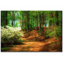 Trademark Global Favorite Path Gallery-Wrapped Canvas Print By Lois Bryan, 16 inch;H x 24 inch;W