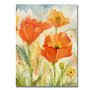 Trademark Global Field Of Poppies Gallery-Wrapped Canvas Print By Sheila Golden, 24 inch;H x 32 inch;W