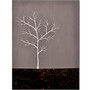 Trademark Global Grey On White Series Gallery-Wrapped Canvas Print By Nicole Dietz, 18 inch;H x 24 inch;W