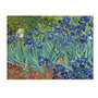 Trademark Global Irises, 1889 Gallery-Wrapped Canvas Print By Vincent van Gogh, 26 inch;H x 32 inch;W