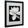 Trademark Global Magnolia Matted Framed Print By Michael Harrison, 16 inch;H x 20 inch;W