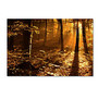 Trademark Global Morning Light Gallery-Wrapped Canvas Print By Philippe Sainte-Laudy, 30 inch;H x 47 inch;W