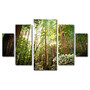 Trademark Global Muir Woods Multi-Panel Gallery-Wrapped Canvas Print By Ariane Moshayedi, 39 5/8 inch;H x 57 5/8 inch;W