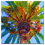 Trademark Global Palm Tree Looking Up Gallery-Wrapped Canvas Print By Amy Vangsgard, 35 inch;H x 35 inch;W