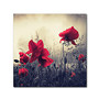 Trademark Global Red For Love Gallery-Wrapped Canvas Print By Philippe Sainte-Laudy, 24 inch;H x 24 inch;W