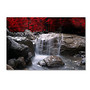 Trademark Global Red Vision Gallery-Wrapped Canvas Print By Philippe Sainte-Laudy, 35 inch;H x 47 inch;W