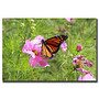 Trademark Global Spring I Gallery-Wrapped Canvas Print By Cary Hahn, 14 inch;H x 19 inch;W