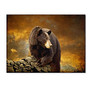 Trademark Global The Bear Went Over The Mountain Gallery-Wrapped Canvas Print By Lois Bryan, 16 inch;H x 24 inch;W