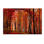 Trademark Global The Red Way Gallery-Wrapped Canvas Print By Philippe Sainte-Laudy, 30 inch;H x 47 inch;W