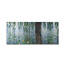 Trademark Global Water Lilies Morning Gallery-Wrapped Canvas Print By Claude Monet, 20 inch;H x 47 inch;W