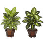 Nearly Natural 20 1/2 inch;H Silk Dieffenbachia Plants With Wood Vase, Set Of 2