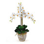 Nearly Natural 27 inch; Triple Stem Orchid With Vase, Cream