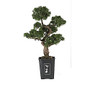 Nearly Natural 36 inch; Cedar Bonsai Plant With Pot