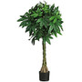 Nearly Natural 51 inch;H Plastic Braided Money Tree With Pot