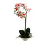 Realspace&trade; 20 inch; Pink Orchid Plant With White Ceramic Bowl