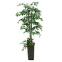 Realspace&trade; 7' Green Ficus Tree With Metal Planter