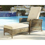 Cosco Lakewood Ranch Steel Chaise Lounge Chair, Brown