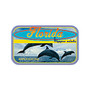 AmuseMints; Destination Mint Candy, Florida Flipper, 0.56 Oz, Pack Of 24