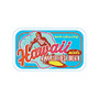 AmuseMints; Destination Mint Candy, Hawaii Surfer, 0.56 Oz Tin, Pack Of 24