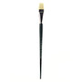 Winsor & Newton Winton Hog Paint Brush, Size 12, Long Flat Bristle, Hog Hair, Green