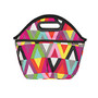 PackIt; Freezable Traveler Lunch Bag, 11 1/2 inch;H x 14 inch;W x 6 inch;D, Multicolor