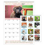 AT-A-GLANCE; Monthly Wall Calendar, 12 inch; x 17 inch;, 30% Recycled, Puppies, January to December 2017