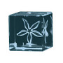 Starfish 3D Crystal Cube Paperweight