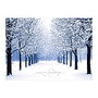 Sample Holiday Card, Winters Path