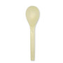 Conserve; Disposable Spoons, White, Box Of 100