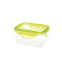 Kinetic Fresh Food Storage Container, 15.5 Oz, Clear/Green