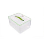 Kinetic Fresh Food Storage Container, 237 Oz, Clear/Green