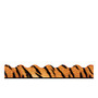 TREND Terrific Trimmer; Borders, 2 1/4 inch; x 39 inch;, Animal Prints, Pre-K - Grade 12, Pack Of 48