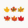 Trend; Classic Accents; Variety Pack, Maple Leaves, Pre-K To Grade 12, Pack Of 36