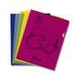 Pendaflex; CopySafe File Pockets, Letter Size, Assorted Colors, Pack Of 10
