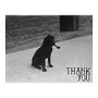 Retrospect Thank You Note Cards With Envelopes, 4 1/2 inch; x 5 7/8 inch;, Dog With Pipe, Box Of 10