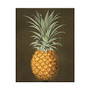 Retrospect Thank You Note Cards With Envelopes, 4 1/2 inch; x 5 7/8 inch;, Pineapple, Box Of 10