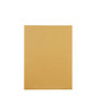 Quality Park Redi-Seal Catalog Envelopes, 6 1/2 inch; x 9 1/2 inch;, Brown, Box Of 100