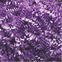 Partners Brand Lavender Crinkle PaPer, 10 lbs Per Case